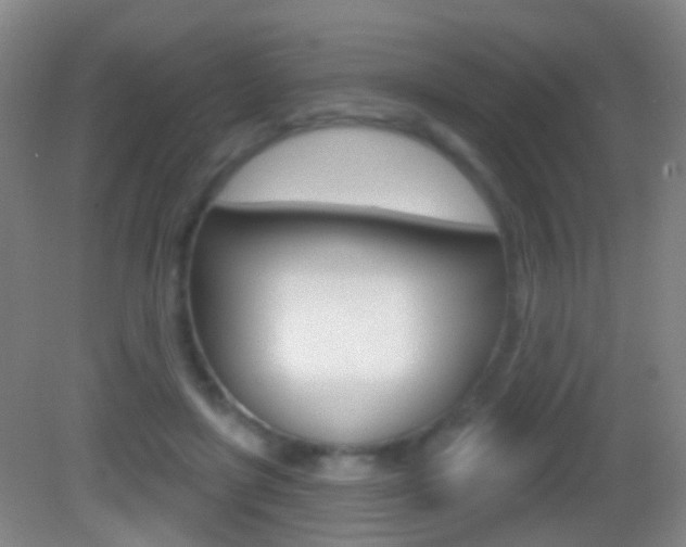 X0000083050451200702021014