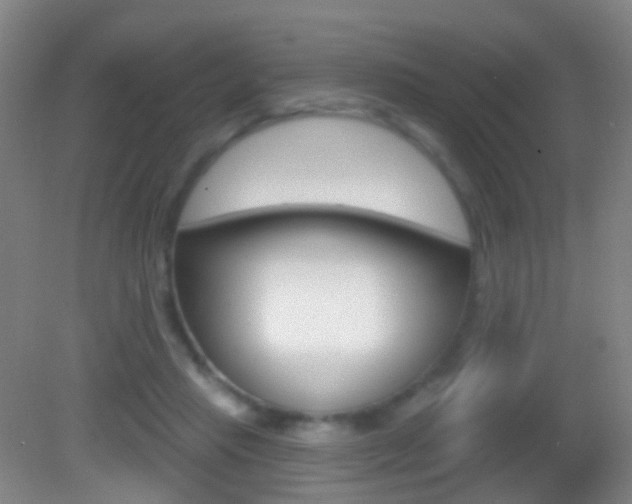 X0000083050453200702021014