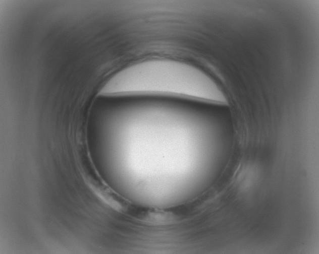 X0000083050455200702021014