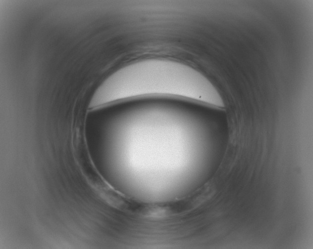 X0000083050456200702021014