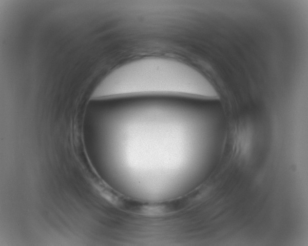 X0000083050457200702021014