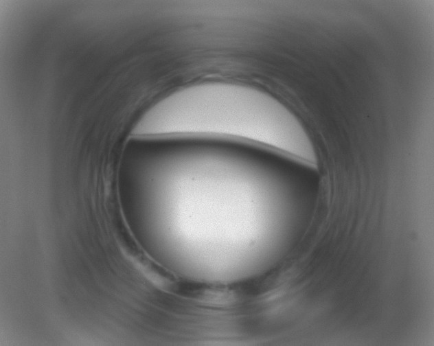 X0000083050458200702021014