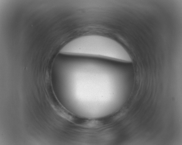 X0000083050459200702021014