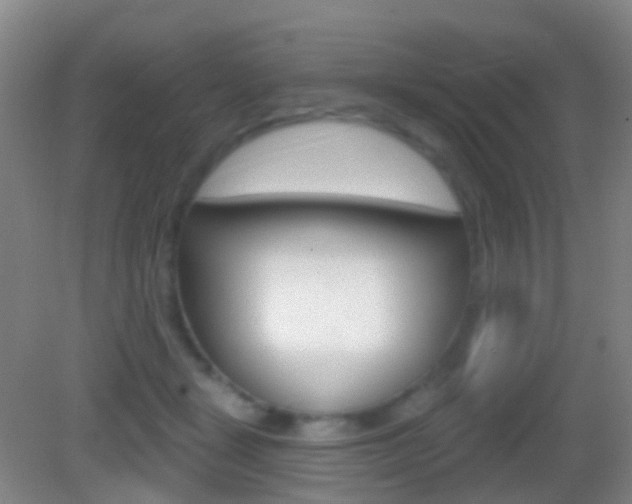 X0000083050461200702021014