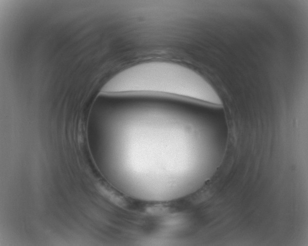 X0000083050470200702021015