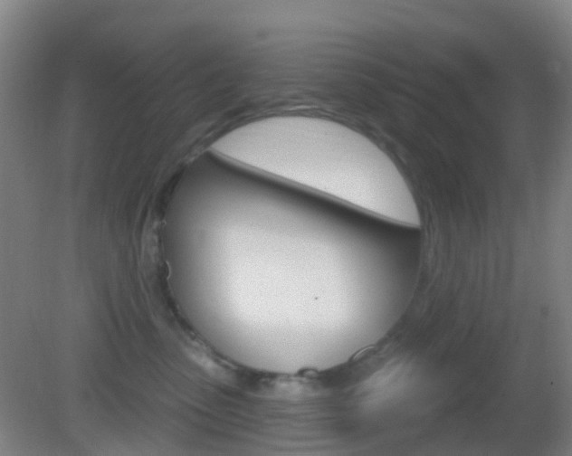 X0000083050475200702021015