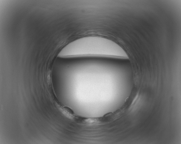 X0000083050477200702021015
