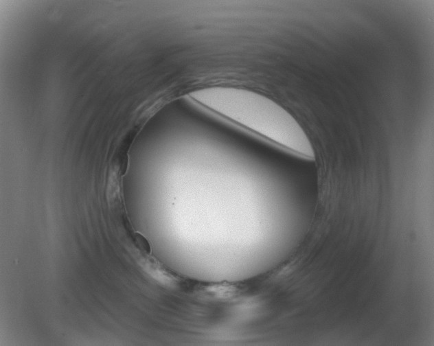 X0000083050478200702021015