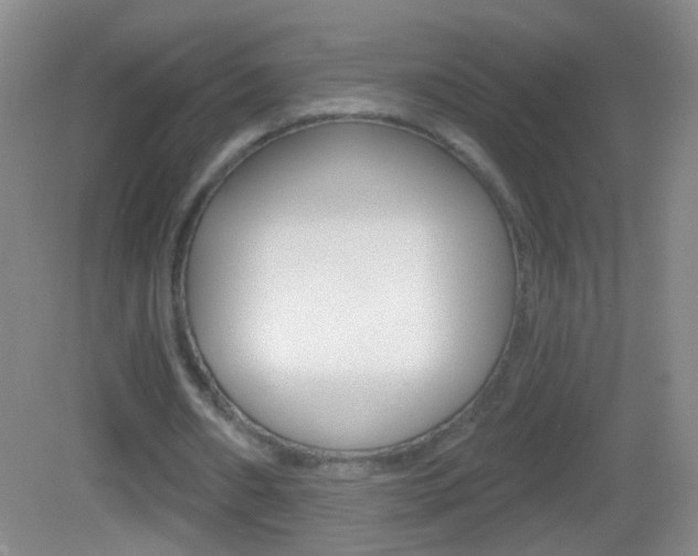 X0000083050482200702021014