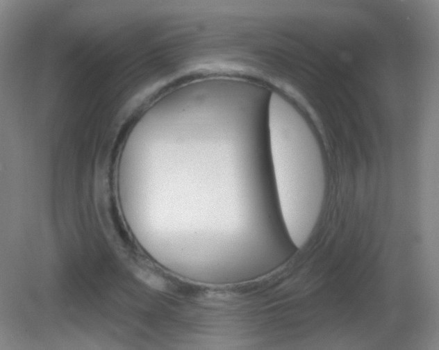 X0000083050487200702021014