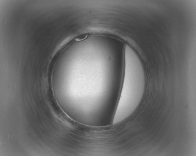 X0000083050488200702021014