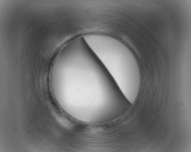 X0000083050491200702021014