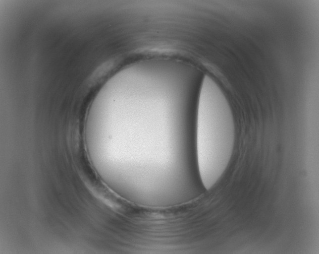 X0000083050494200702021014