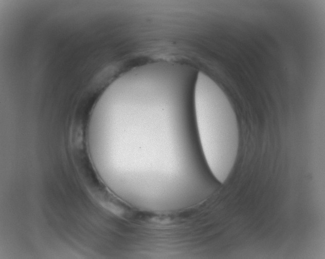 X0000083050502200702021014
