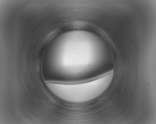X0000083050505200702021014