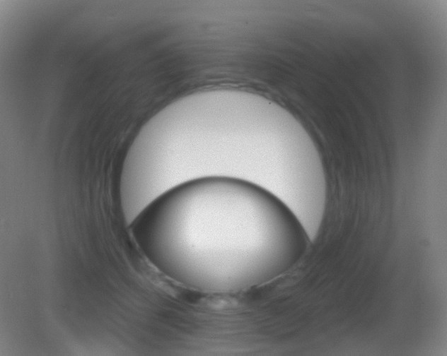 X0000083050512200702021013