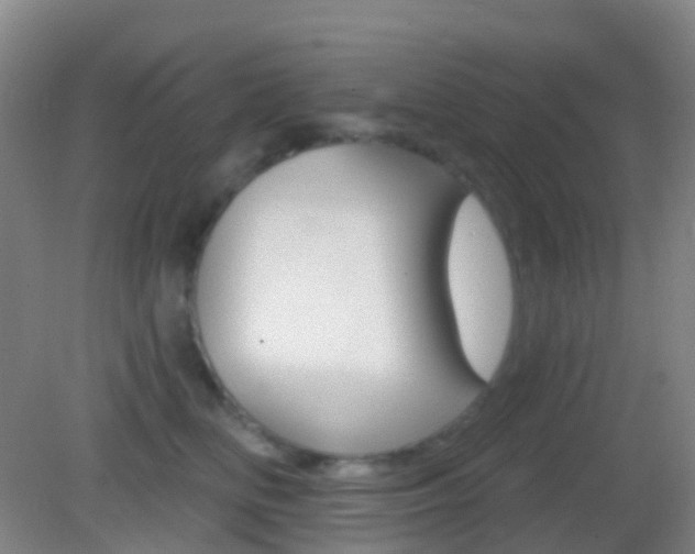 X0000083050518200702021013