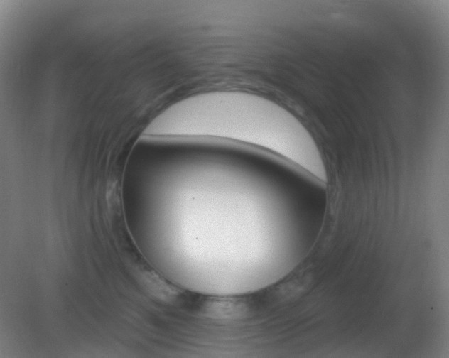 X0000083050521200702021013