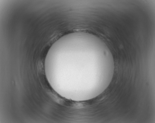 X0000083050523200702021013