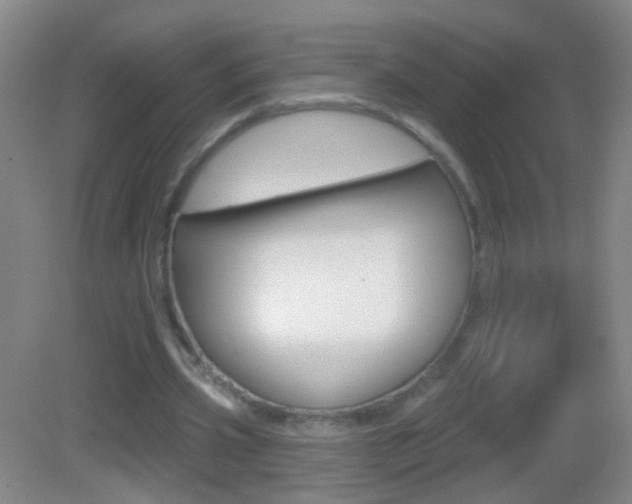 X0000083050533200702021012