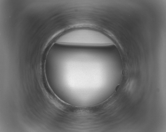 X0000083050535200702021012