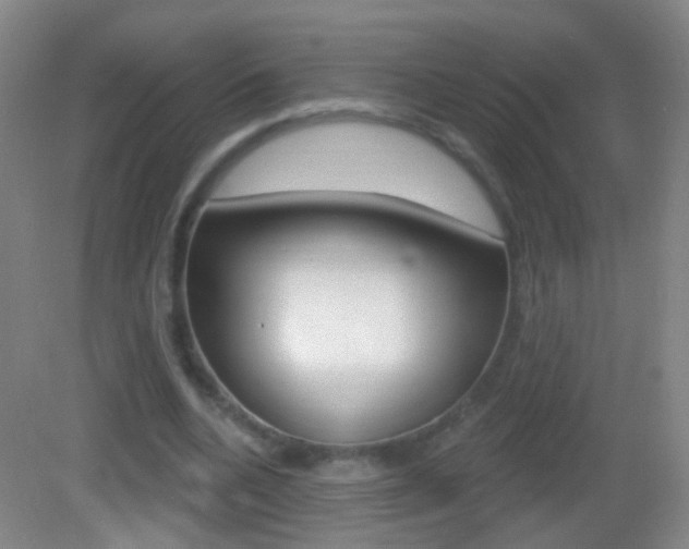X0000083050536200702021012