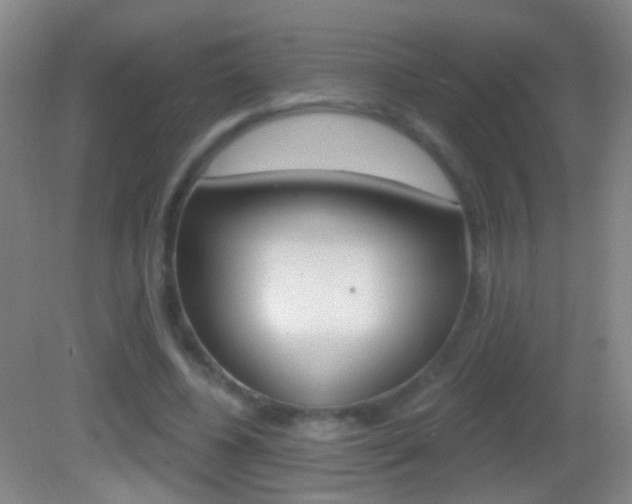 X0000083050540200702021013