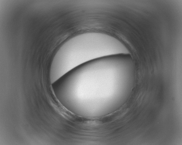 X0000083050541200702021013