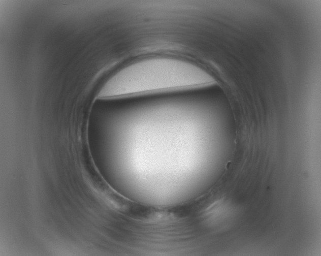X0000083050543200702021013