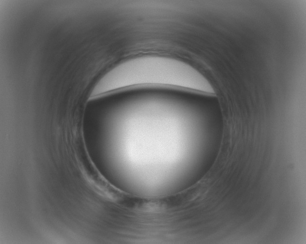 X0000083050546200702021013