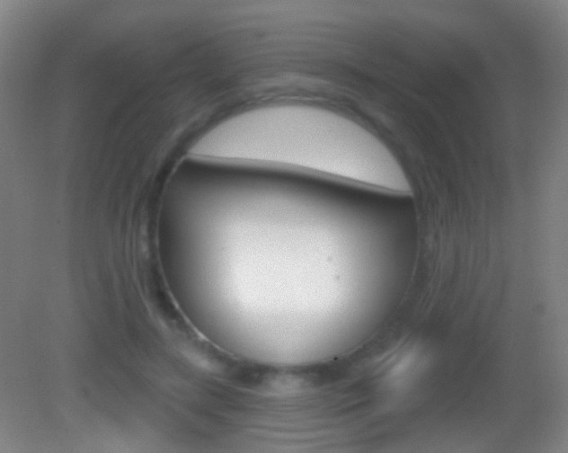 X0000083050547200702021013