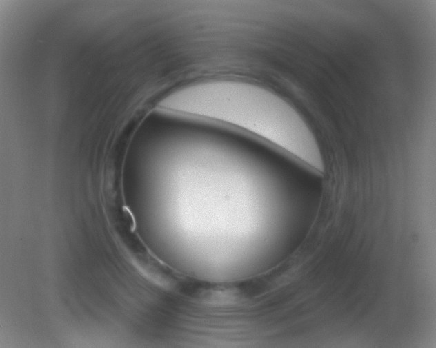 X0000083050548200702021013
