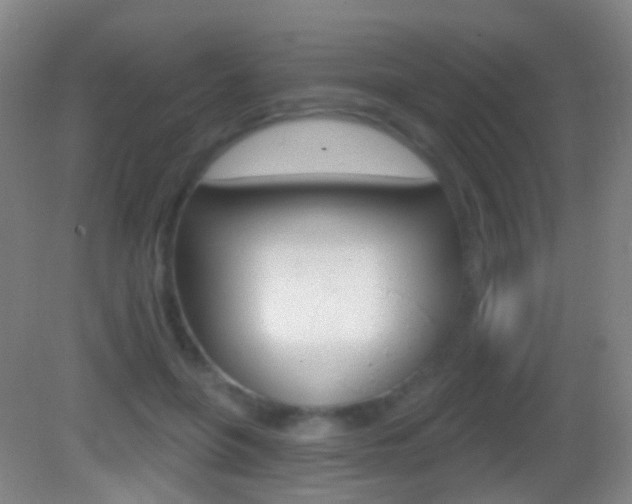 X0000083050551200702021013