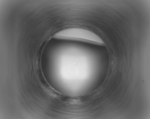 X0000083050552200702021013