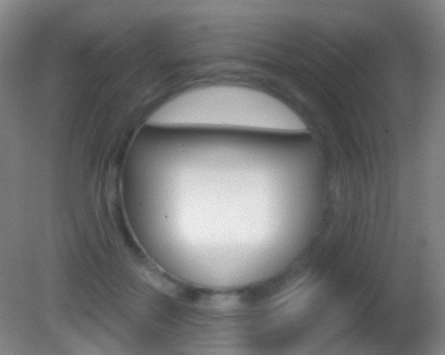 X0000083050554200702021013