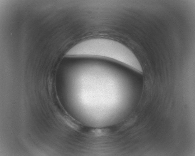 X0000083050558200702021013