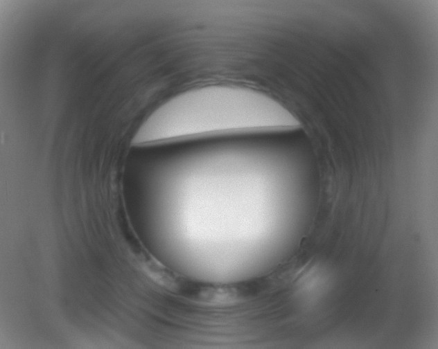 X0000083050559200702021013