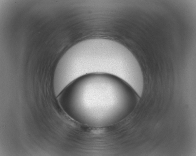 X0000083050560200702021013