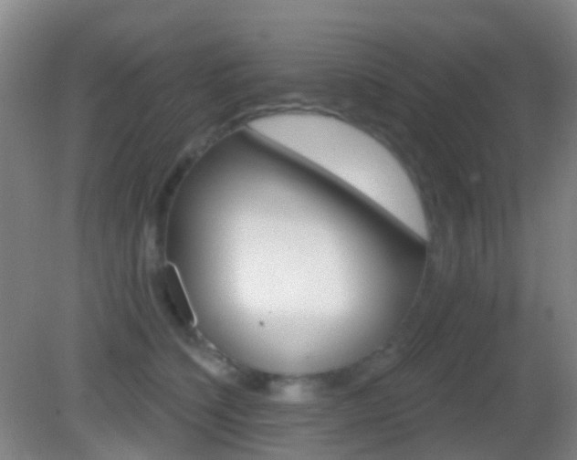 X0000083050564200702021013