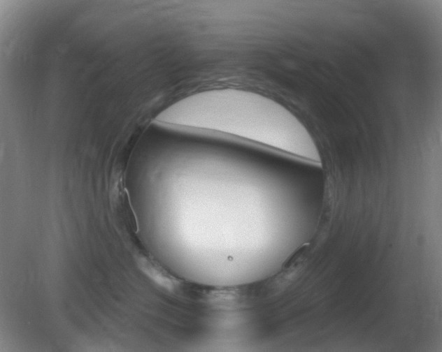 X0000083050574200702021013