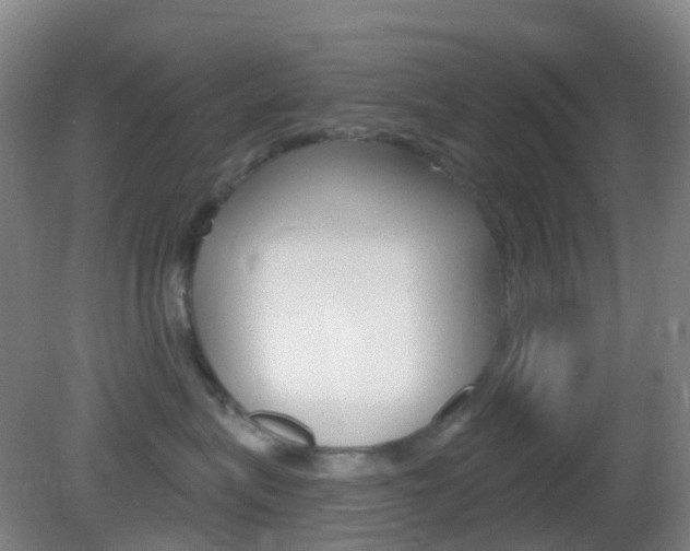 X0000083050575200702021013