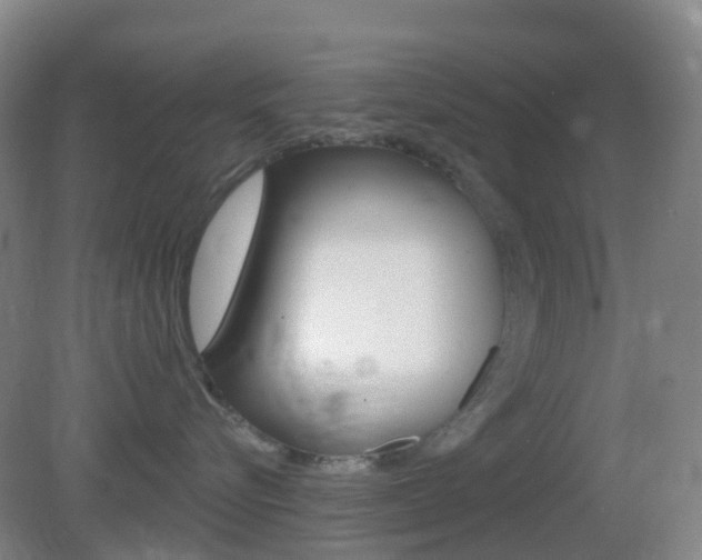 X0000083050576200702021013