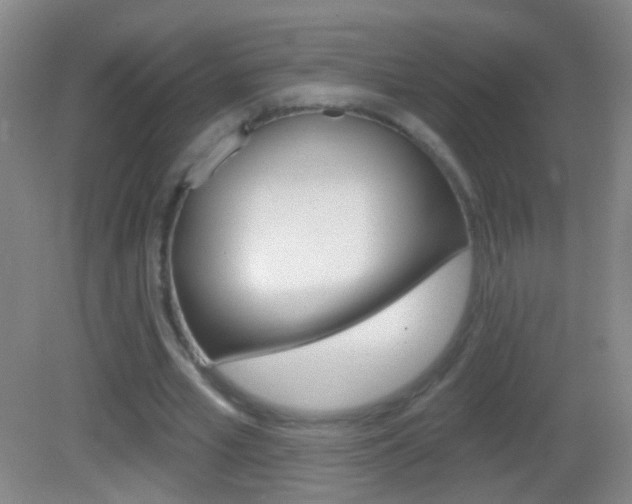 X0000083050581200702021012