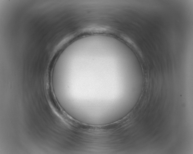 X0000083050582200702021012