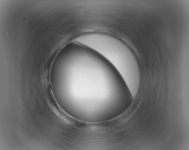 X0000083050585200702021012