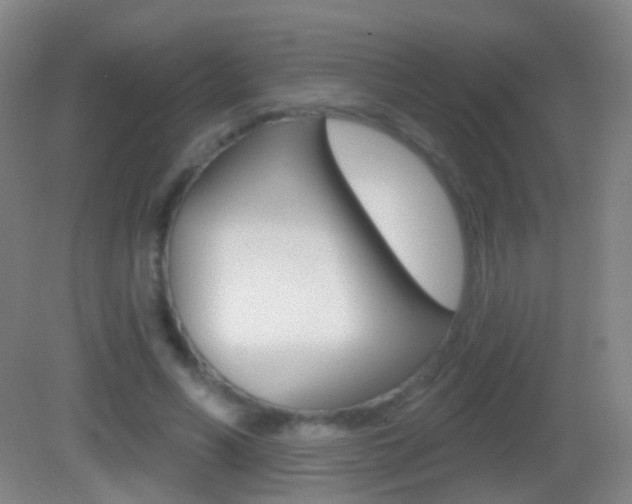 X0000083050590200702021012