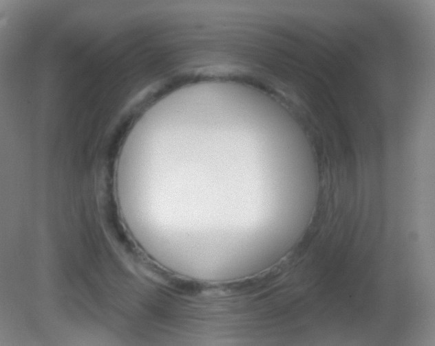 X0000083050591200702021012