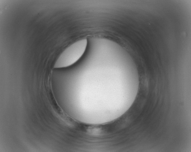 X0000083050602200702021012