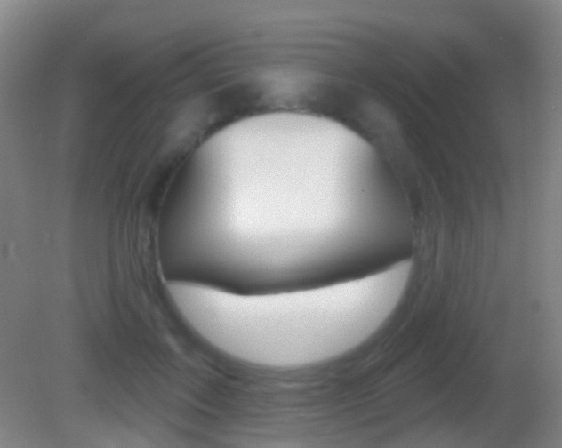 X0000083050603200702021012