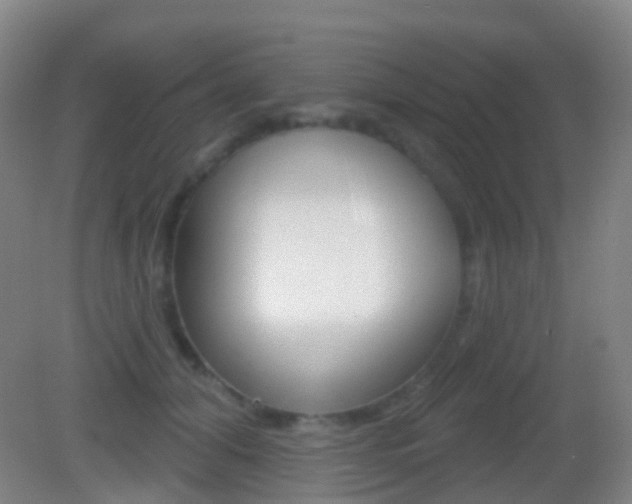 X0000083050608200702021012